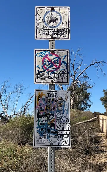 Tagged Street Signs